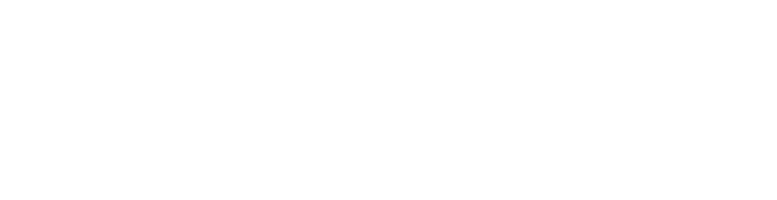 Project Celerity Logo
